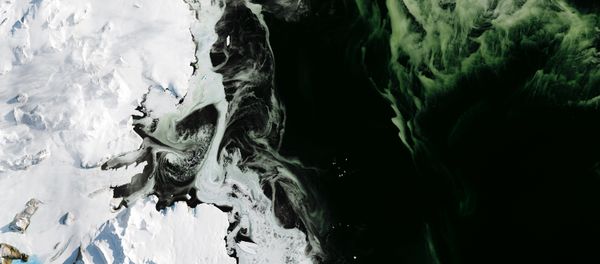 Antarctica's Granite Harbor, turned green by phytoplankton. The photos were taken by NASA's Operational Land Imager (OLI). Antarctica's Granite Harbor, turned green by phytoplankton. The photos were taken by NASA's Operational Land Imager (OLI). - Sputnik International
