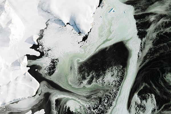 Antarctica's Granite Harbor, turned green by phytoplankton. The algae is trapped beneath slushy sea ice. Antarctica's Granite Harbor, turned green by phytoplankton. The algae is trapped beneath slushy sea ice. - Sputnik International