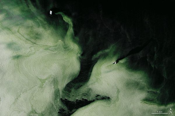Antarctica's Granite Harbor, turned green by phytoplankton. The green has spread over 16 square miles of water. Antarctica's Granite Harbor, turned green by phytoplankton. The green has spread over 16 square miles of water. - Sputnik International