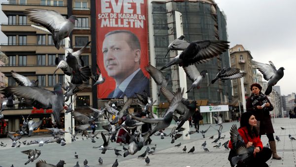 A campaign banner for the upcoming referendum with the picture of Turkish President Tayyip Erdogan is seen on Taksim square in central Istanbul, Turkey March 15, 2017 A campaign banner for the upcoming referendum with the picture of Turkish President Tayyip Erdogan is seen on Taksim square in central Istanbul, Turkey March 15, 2017 - Sputnik International