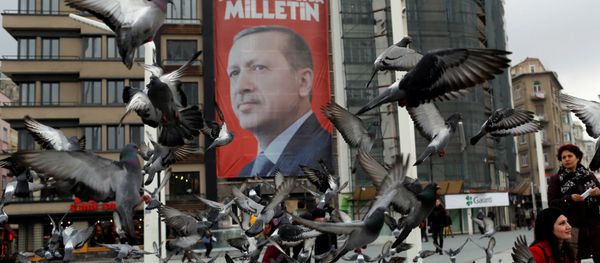 A campaign banner for the upcoming referendum with the picture of Turkish President Tayyip Erdogan is seen on Taksim square in central Istanbul, Turkey March 15, 2017 - Sputnik International