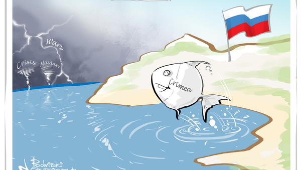 Safe Harbor - Sputnik International