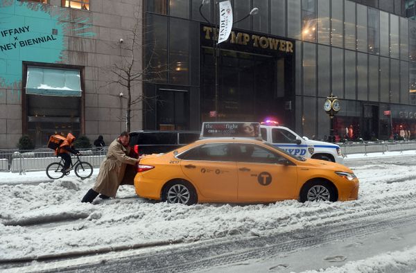 This Week in Pictures - Sputnik International