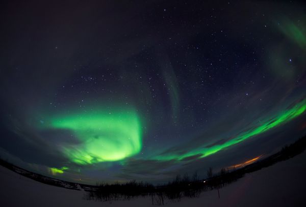 This Week in Pictures - Sputnik International