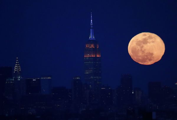 This Week in Pictures - Sputnik International
