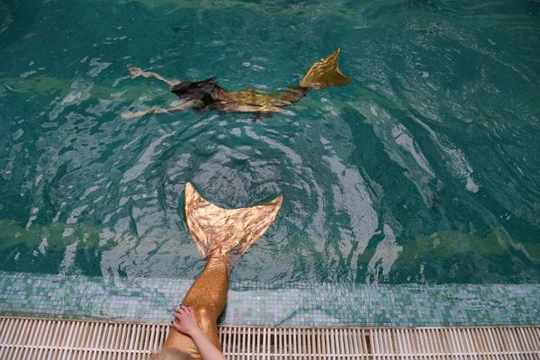 Aquatic Fairytale: A Moscow School Teaches Women How to Become Mermaids - Sputnik International