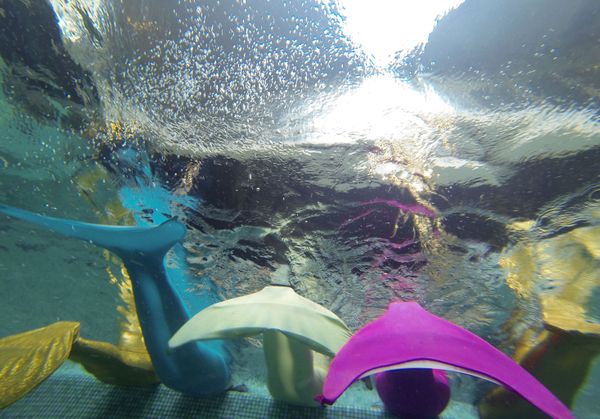 Aquatic Fairytale: A Moscow School Teaches Women How to Become Mermaids - Sputnik International