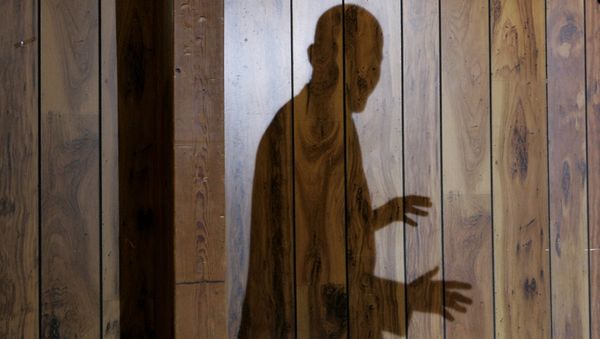 Barack Obama shadow (File) - Sputnik International