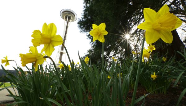Spring Has Sprung Around the World - Sputnik International