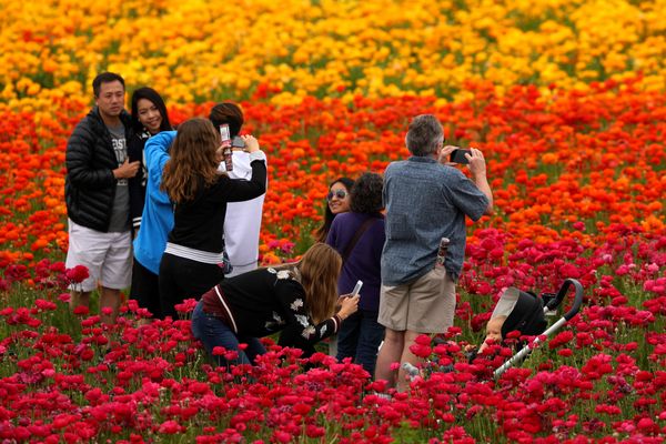 Spring Has Sprung Around the World - Sputnik International