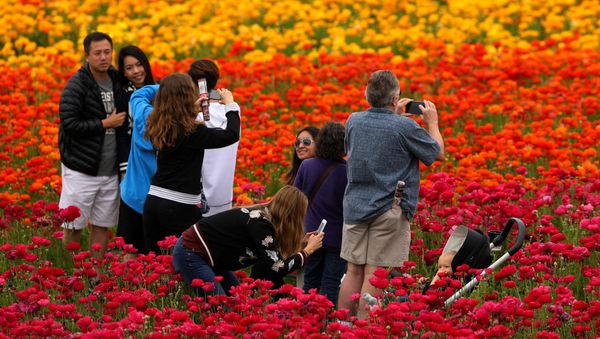 Spring Has Sprung Around the World - Sputnik International