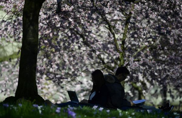 Spring Has Sprung Around the World - Sputnik International