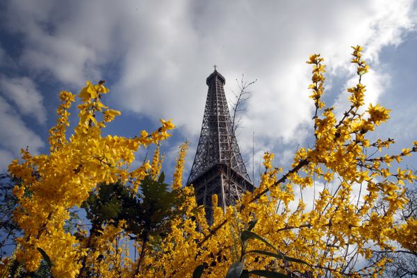 Spring Has Sprung Around the World - Sputnik International
