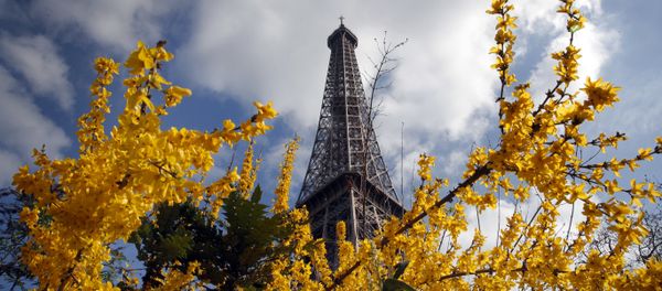 The Eiffel Tower rises from behind blossoming flowers and trees on a Spring day, in Paris, France - Sputnik International
