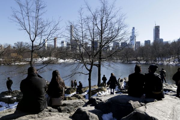 Spring Has Sprung Around the World - Sputnik International
