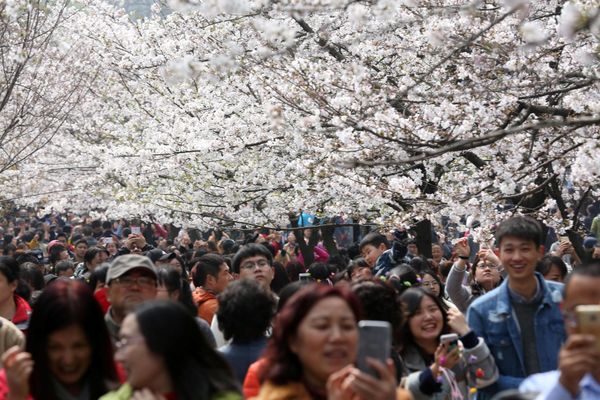 Spring Has Sprung Around the World - Sputnik International