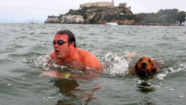 Jake, a 4-year-old golden retriever, swims from Alcatraz towards San Francisco with Jeff Pokonosky, of San Diego, during the 10th Annual South End Rowing Club Alcatraz Invitational. (File) Jake, a 4-year-old golden retriever, swims from Alcatraz towards San Francisco with Jeff Pokonosky, of San Diego, during the 10th Annual South End Rowing Club Alcatraz Invitational. (File) - Sputnik International