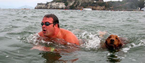 Jake, a 4-year-old golden retriever, swims from Alcatraz towards San Francisco with Jeff Pokonosky, of San Diego, during the 10th Annual South End Rowing Club Alcatraz Invitational. (File) Jake, a 4-year-old golden retriever, swims from Alcatraz towards San Francisco with Jeff Pokonosky, of San Diego, during the 10th Annual South End Rowing Club Alcatraz Invitational. (File) - Sputnik International
