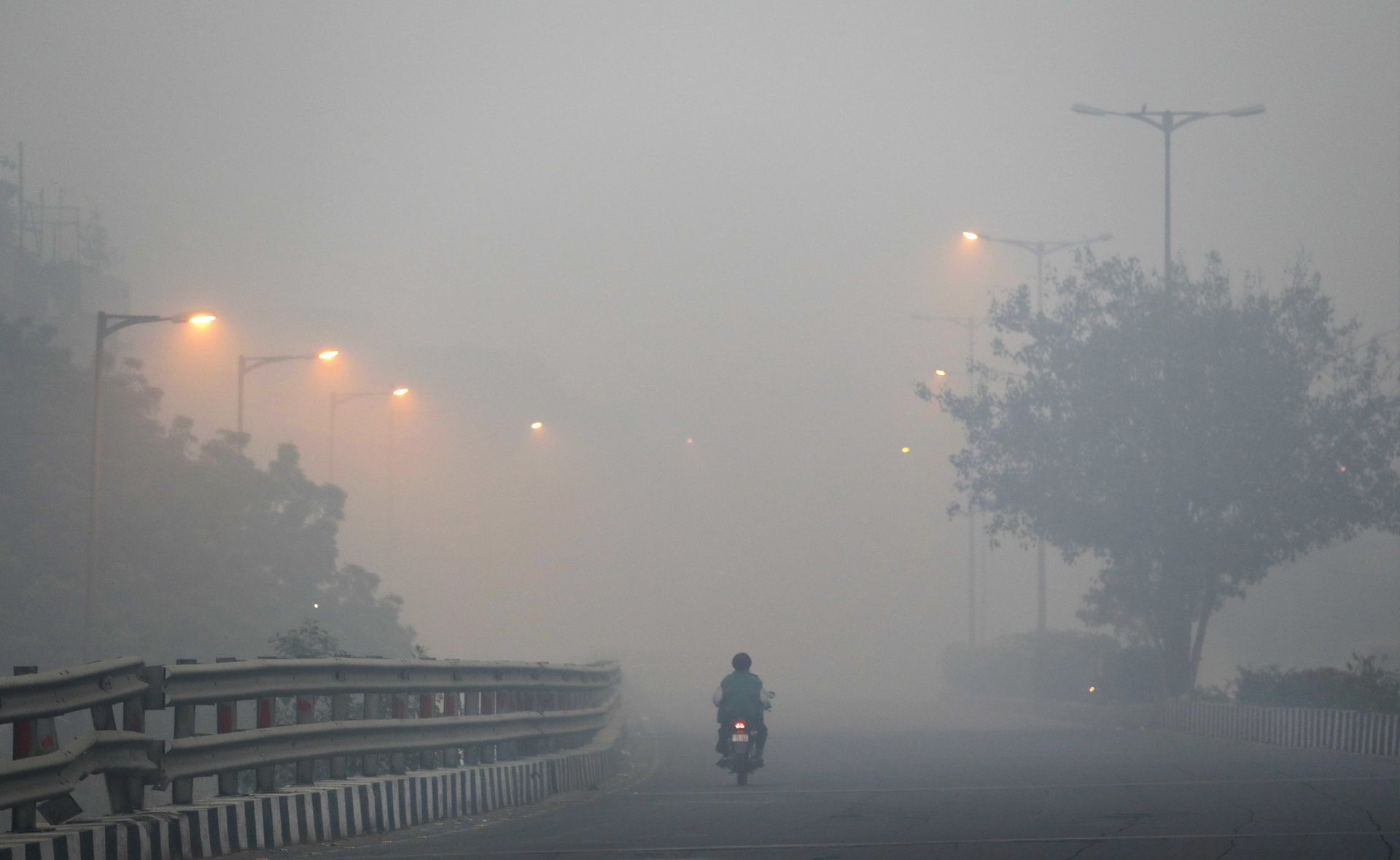 Delhi Gov't to Launch Massive Plantation Drive to Curb Perennial Air Pollution Challenge - Sputnik International, 1920, 02.06.2021