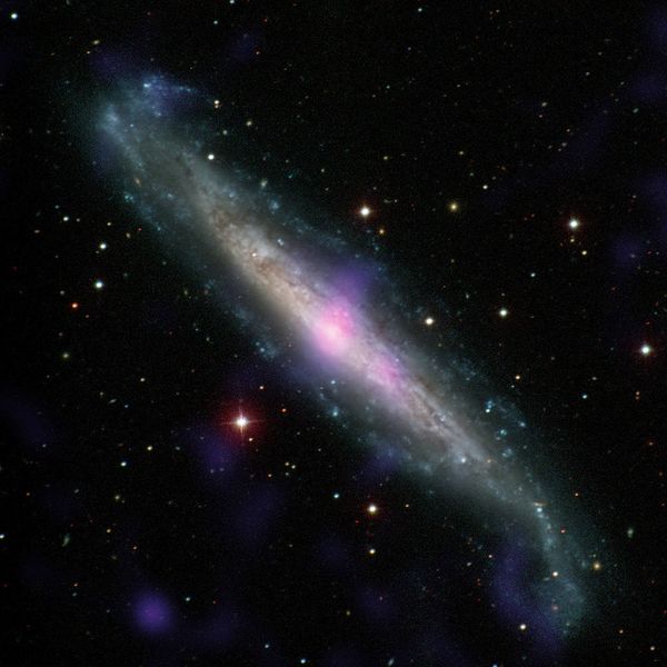 NGC 1448, a galaxy with an active galactic nucleus, is seen in this image combining data from the Carnegie-Irvine Galaxy Survey in the optical range and NuSTAR in the X-ray range. NGC 1448, a galaxy with an active galactic nucleus, is seen in this image combining data from the Carnegie-Irvine Galaxy Survey in the optical range and NuSTAR in the X-ray range. - Sputnik International