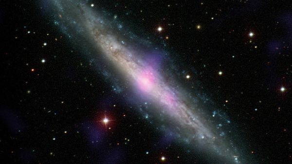 NGC 1448, a galaxy with an active galactic nucleus, is seen in this image combining data from the Carnegie-Irvine Galaxy Survey in the optical range and NuSTAR in the X-ray range. NGC 1448, a galaxy with an active galactic nucleus, is seen in this image combining data from the Carnegie-Irvine Galaxy Survey in the optical range and NuSTAR in the X-ray range. - Sputnik International