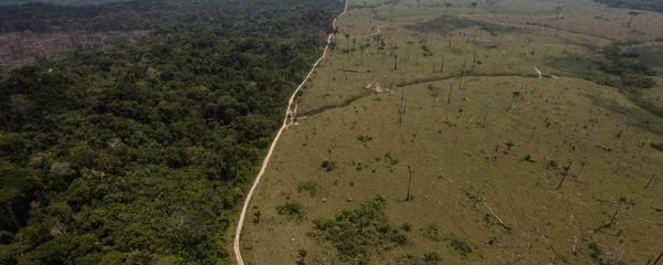 Deforested area is seen near Novo Progresso in Brazil's northern state of Para Deforested area is seen near Novo Progresso in Brazil's northern state of Para - Sputnik International