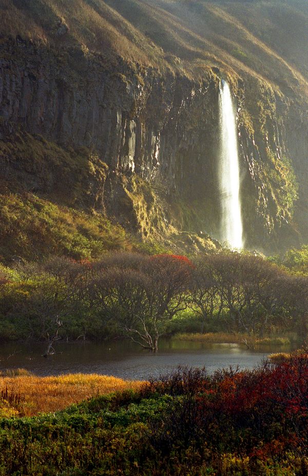 World Water Day: Earth’s Most Beautiful Waterfalls World Water Day: Earth’s Most Beautiful Waterfalls - Sputnik International