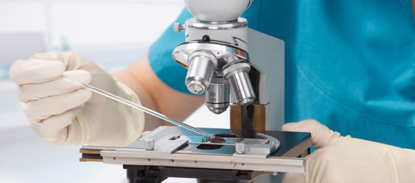 Microscope Microscope - Sputnik International