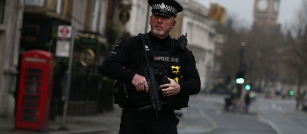 An armed police officer stands on Whitehall the morning after an attack by a man driving a car and weilding a knife left five people dead and dozens injured, in London, Britain, March 23, 2017. An armed police officer stands on Whitehall the morning after an attack by a man driving a car and weilding a knife left five people dead and dozens injured, in London, Britain, March 23, 2017. - Sputnik International