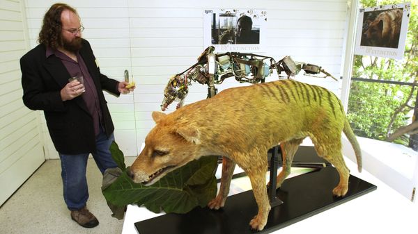Bob Paddle, the author of The Last Tasmanian Tiger is seen in this Tuesday, May 28, 2002 photo in Sydney Australia. - Sputnik International