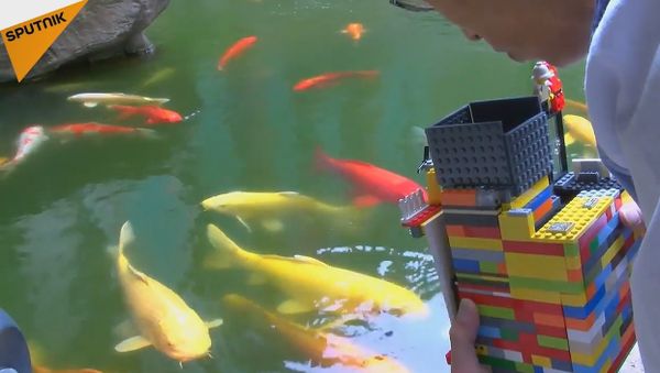 A Man Makes Polaroid From Lego - Sputnik International