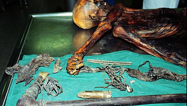 5,000-year-old body of a hunter discovered in 1991 by German hikers on the Similaun glacier at a 3,000 meters altitude (10,000 feet), on the Italian side of the Alps - Sputnik International