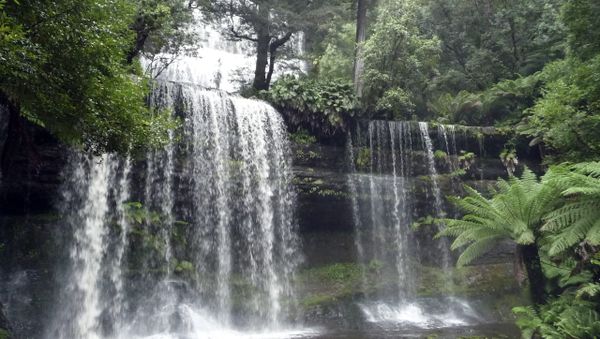 March 24, 2011 photo, Russell Falls in Mount Field National Park in Tasmania, Australia - Sputnik International