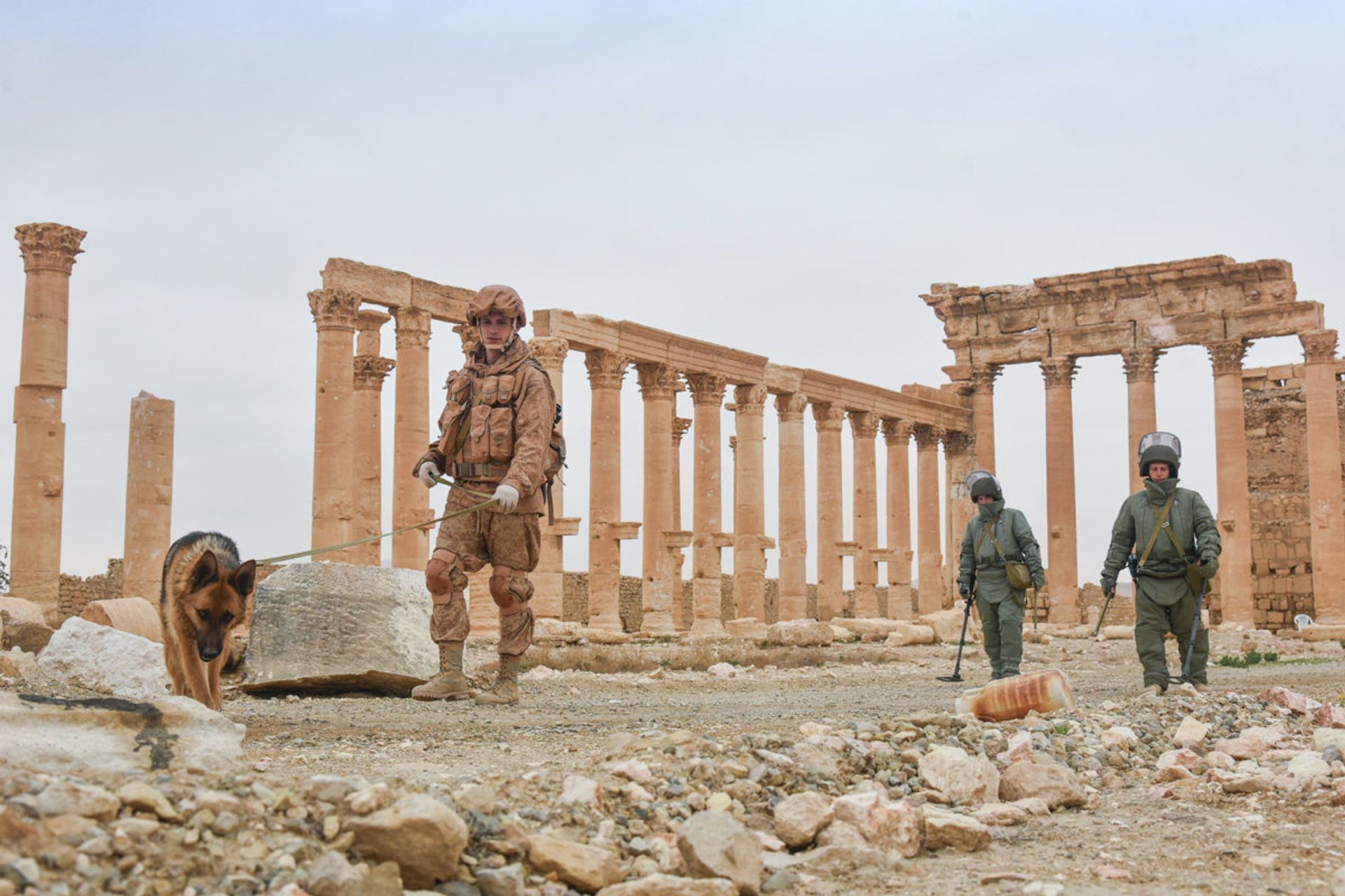 Russian Forces Destroyed Terrorists' Shelters Northeast of Syria's Palmyra, Up to 200 Militants Dead Russian Forces Destroyed Terrorists' Shelters Northeast of Syria's Palmyra, Up to 200 Militants Dead - Sputnik International, 1920, 19.04.2021