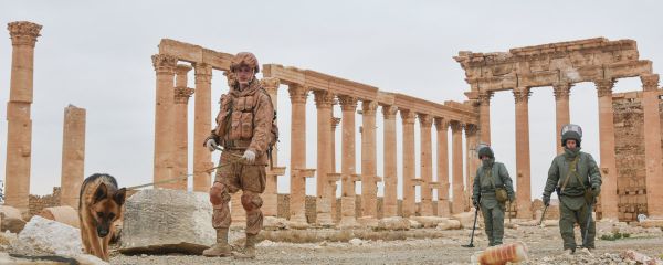 Engineers at the International Main Action Center of the Russian Armed Forces clear the historical part of ancient Palmyra of mines. - Sputnik International