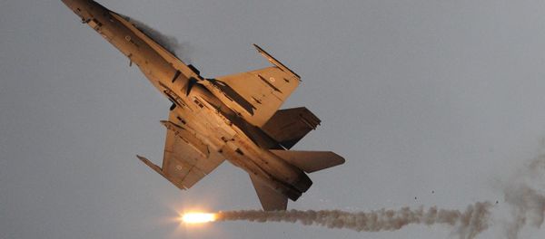 McDonnell Douglas F-18 Hornet military airplane of the Finnish Air Force McDonnell Douglas F-18 Hornet military airplane of the Finnish Air Force - Sputnik International