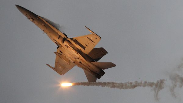 McDonnell Douglas F-18 Hornet military airplane of the Finnish Air Force - Sputnik International