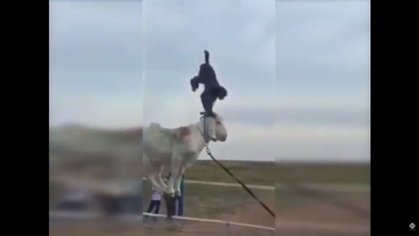 Goat, Monkey Perform Jaw-Dropping Tricks - Sputnik International