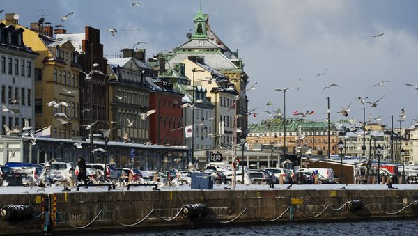 Seagulls fly over the snow-covered Gamla Stan dock in Stockholm - Sputnik International
