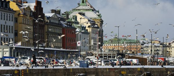 Seagulls fly over the snow-covered Gamla Stan dock in Stockholm - Sputnik International