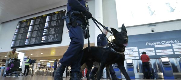 Policemen patrol in the Zaventem airport prior to a ceremony commemorating the first anniversary of twin attacks at Brussels airport and a metro train in Brussels, Belgium, March 22, 2017. Policemen patrol in the Zaventem airport prior to a ceremony commemorating the first anniversary of twin attacks at Brussels airport and a metro train in Brussels, Belgium, March 22, 2017. - Sputnik International