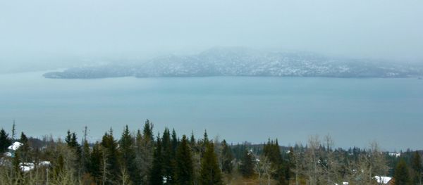 A view of a bay in the village of Kachemak, Alaska A view of a bay in the village of Kachemak, Alaska - Sputnik International