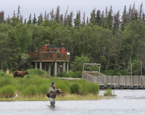 Take a Virtual Journey to Majestic Alaska Take a Virtual Journey to Majestic Alaska - Sputnik International