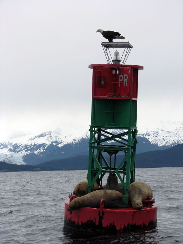 Take a Virtual Journey to Majestic Alaska Take a Virtual Journey to Majestic Alaska - Sputnik International