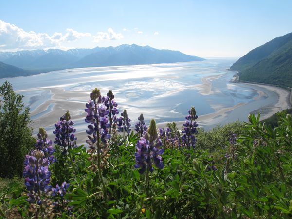 Take a Virtual Journey to Majestic Alaska Take a Virtual Journey to Majestic Alaska - Sputnik International