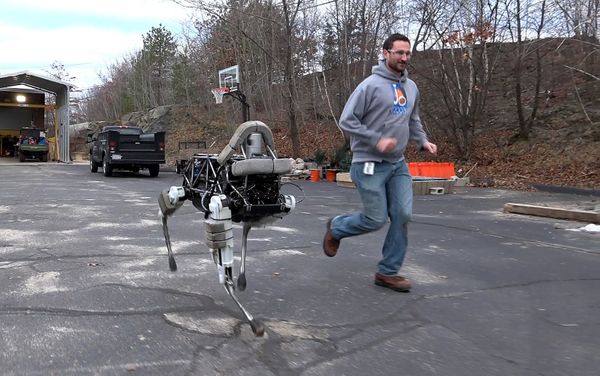 Boston Dynamics' quadruped robot, Spot. Boston Dynamics' quadruped robot, Spot. - Sputnik International