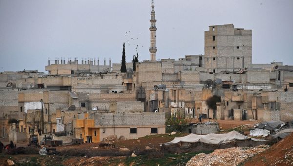 Buildings in Hama, Syria - Sputnik International