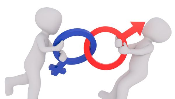 Gender segregation Gender segregation - Sputnik International