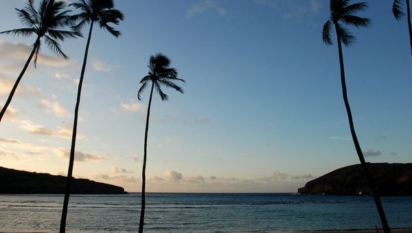 the sun rises over Oahu's Hanauma Bay near Honolulu - Sputnik International