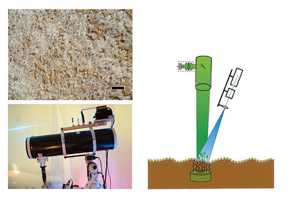 The biosensor beads scattered over a minefield and the optical scanning system The biosensor beads scattered over a minefield and the optical scanning system - Sputnik International